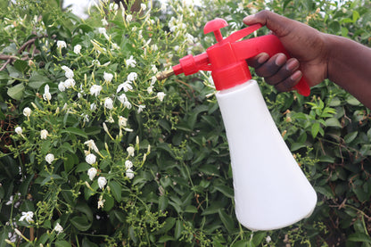 1 Litre Pressure Sprayer