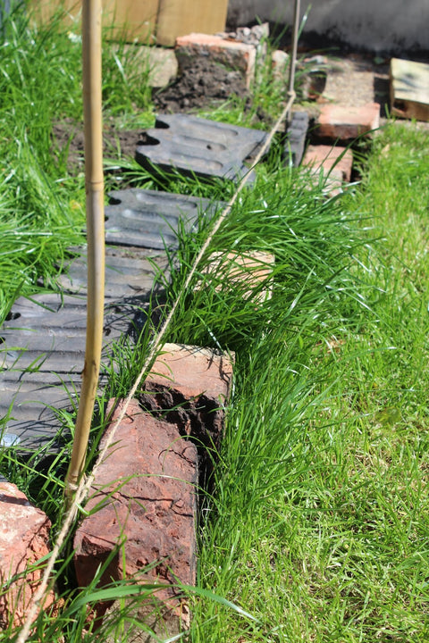 Outdoor Garden Landscape
