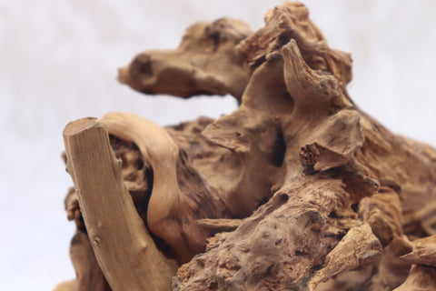 Malaysian Driftwood