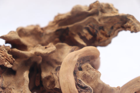 Malaysian Driftwood