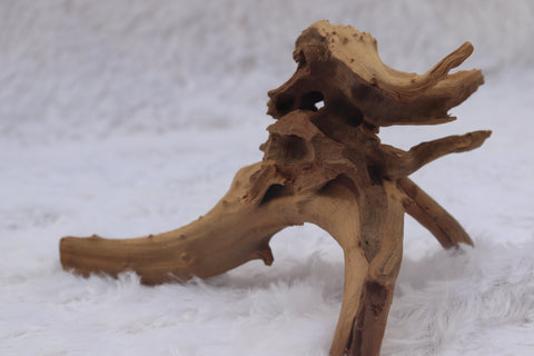 Malaysian Driftwood