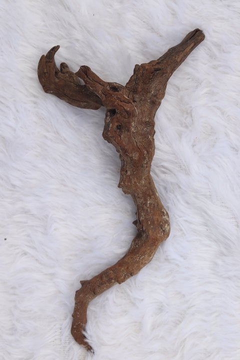 Malaysian Driftwood