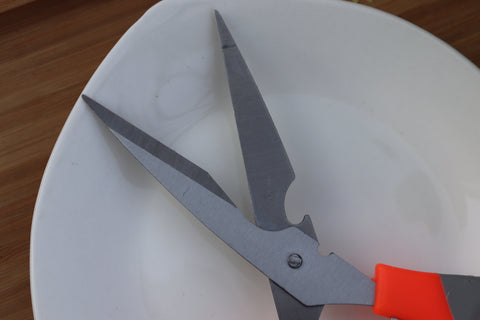Garden Scissor