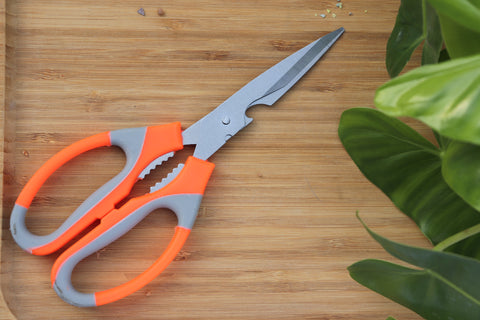 Garden Scissor