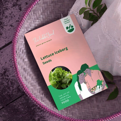 Lettuce Iceberg