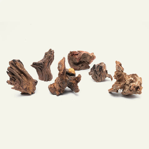 Malaysian Driftwood