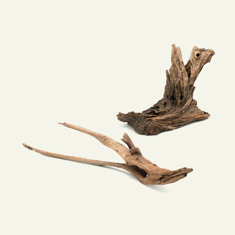 Malaysian Driftwood