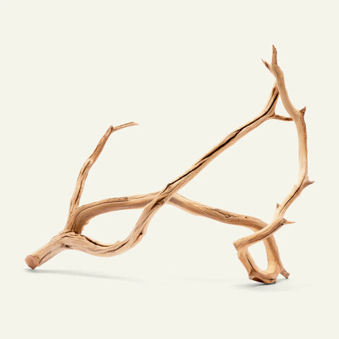 Manzanita Driftwood