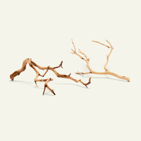 Manzanita Driftwood