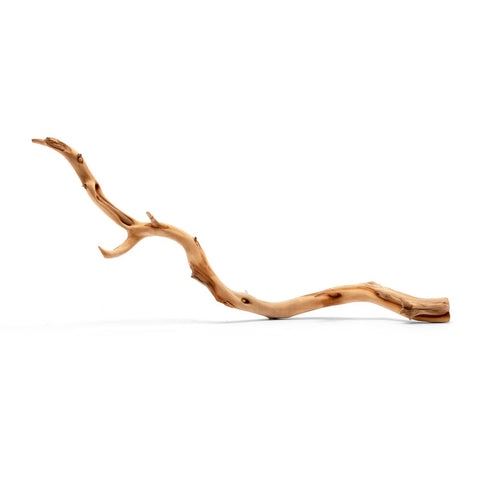 Manzanita Driftwood