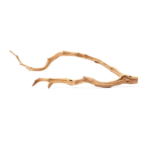 Manzanita Driftwood