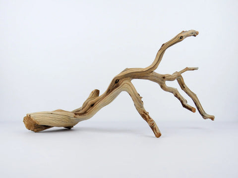 Manzanita Driftwood