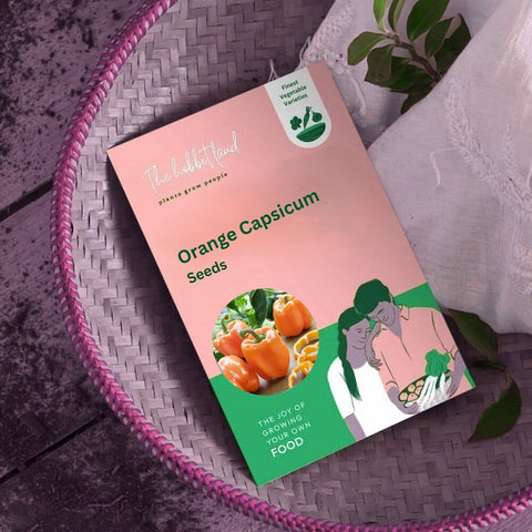 Orange Capsicum