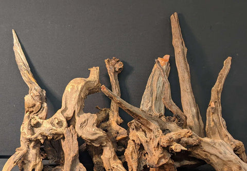 Malaysian Driftwood