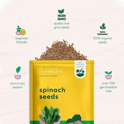 Palak Spinach