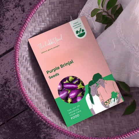 Purple Brinjal