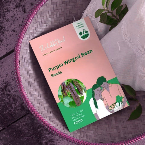 Purple Winged Bean