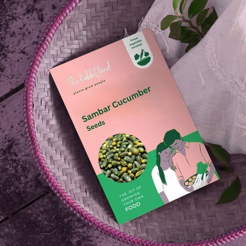 Sambar Cucumber