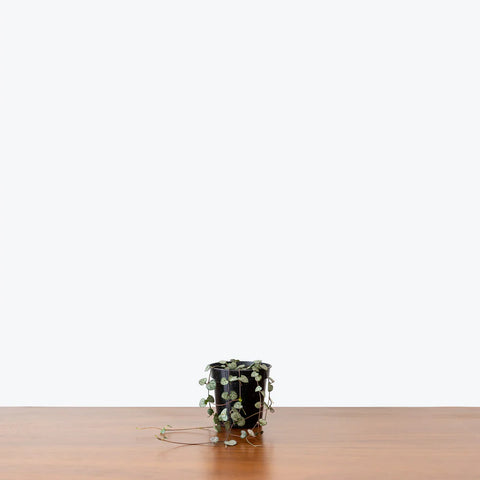 String of Hearts