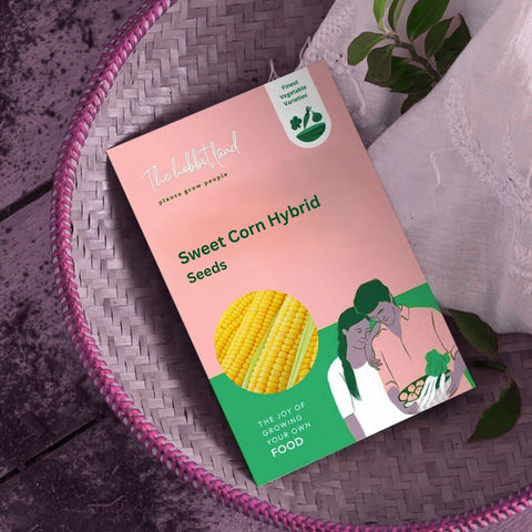 Sweet Corn