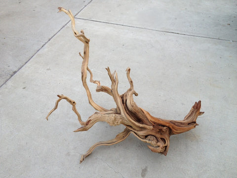 Manzanita Driftwood