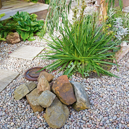 Outdoor Garden Landscape