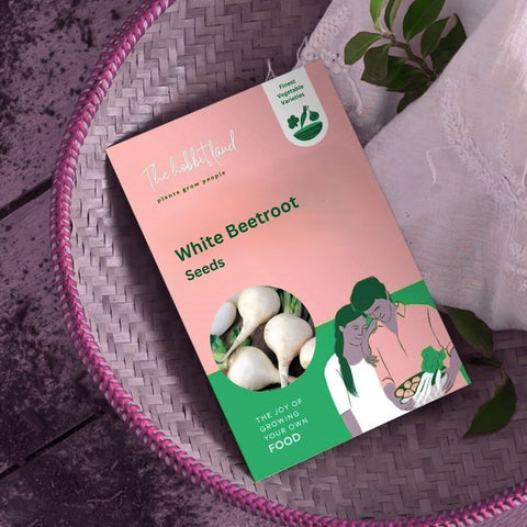 White Beetroot