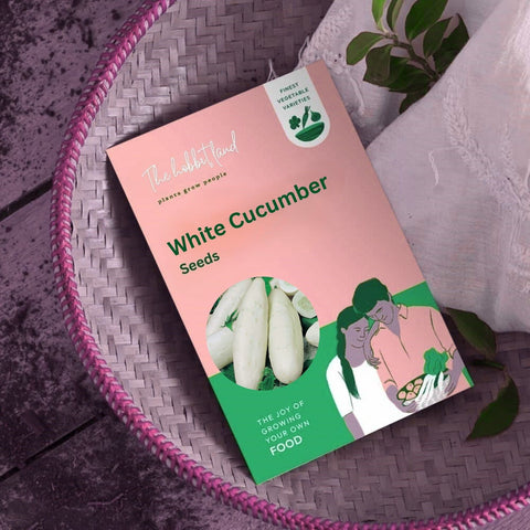 White Salad Cucumber