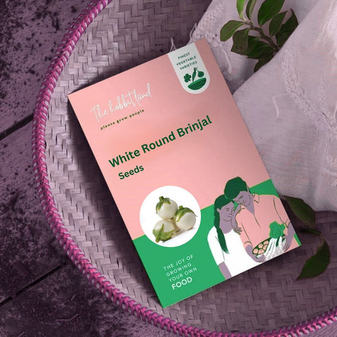 White Round Brinjal
