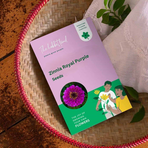 Zinnia Royal Purple