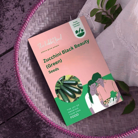 Zucchini Black Beauty (Green)