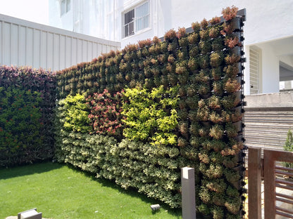 Vertical Garden Installation