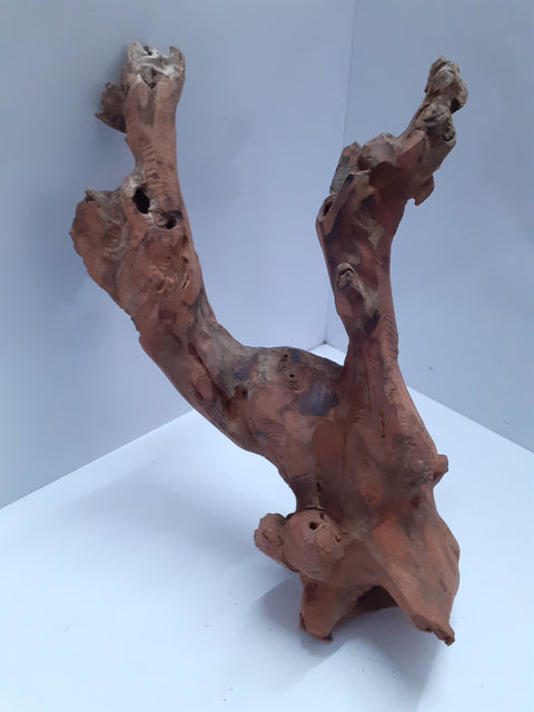 Bog Wood