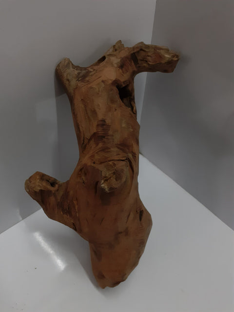Bog Wood