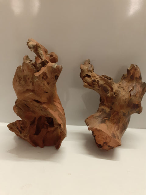 Bog Wood