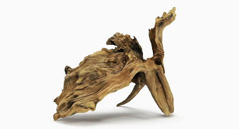 Bog Wood