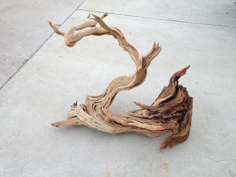 Manzanita Driftwood