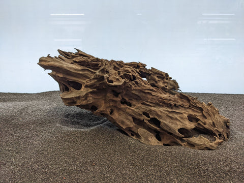 Dragon Wood