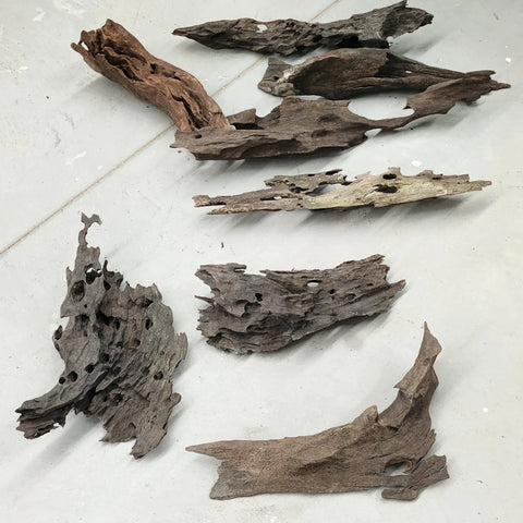 Dragon Wood
