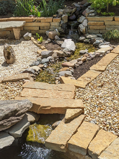 Ponds & Fountains - Setup & Maintenance