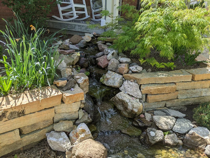 Ponds & Fountains - Setup & Maintenance