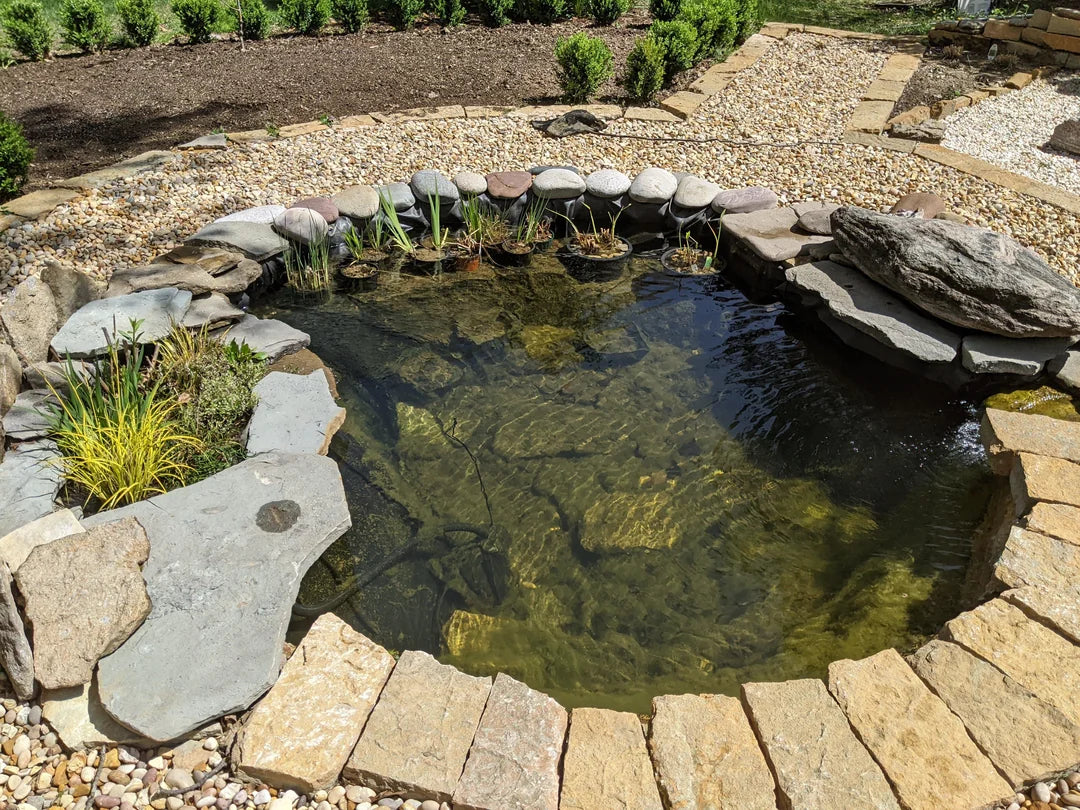 Ponds & Fountains - Setup & Maintenance