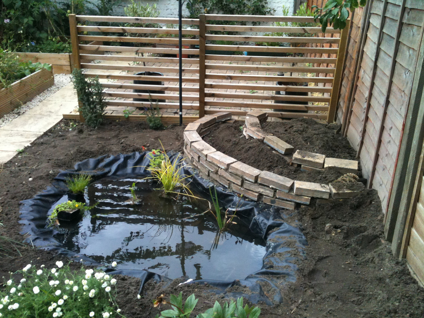 Ponds & Fountains - Setup & Maintenance