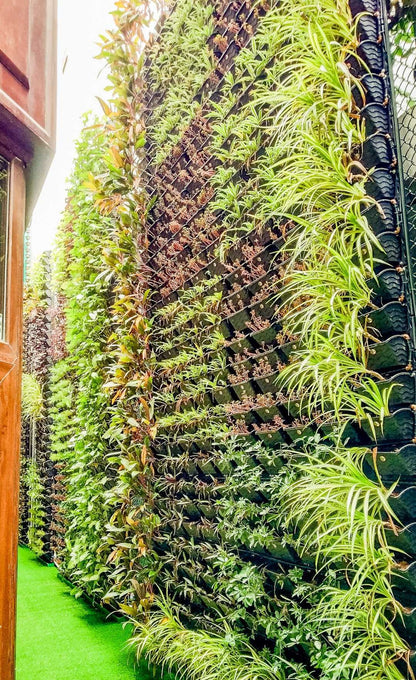 Vertical Garden Installation