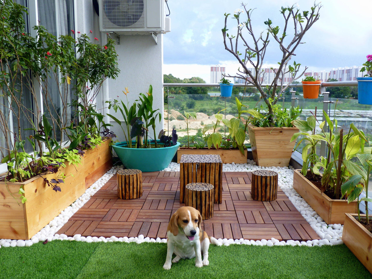 Terrace Gardening