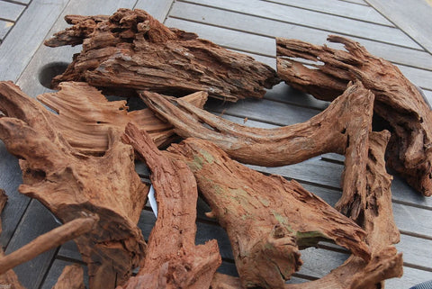 Bog Wood