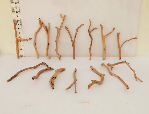 Manzanita Driftwood