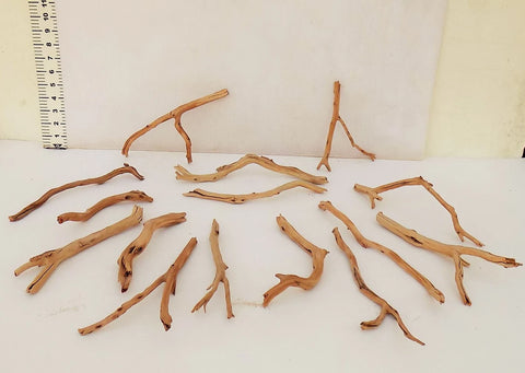 Manzanita Driftwood