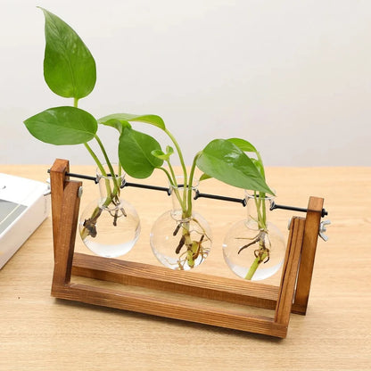 Propagation Planter - Style 6