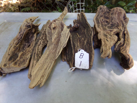 Dragon Wood